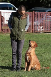 d0669bb4a8288bd3ca326f39d1bcb09b_164x245