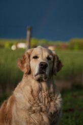 d09035a49f01a8b98e3664be66e524a7_164x246_fill