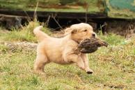 d0c202b07e1c8392254dec41fb184c83_194