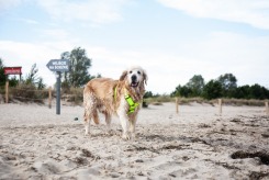 d155f16ae4d9694bc7e1d27b61345f38_245