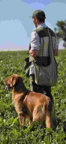 d161511250a56c9e6b0b96c6df94e95d_136x294