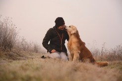 d180db707041a4e96d9f79e72b2b841b_246