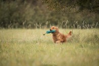 d19a3a09b432de5a3fb88d30489d6141_195