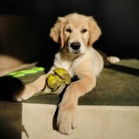 d1f0a27bc552a6bfed200773cb896e3f_200x200_fill