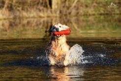 d259a162c70309dab5abb408cc2383b8_246