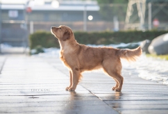 d2adcc8aae316df709b7badeb0d18360_242