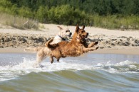 d2c5e147e178aa1795e6c691f9d050d2_195