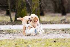 d2c69f4f72fd8dd2fdf25f5ecf44df59_246