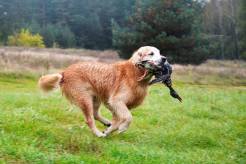 d2c8d78b27d05890d99fdcc4c3edbd55_246