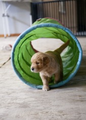 d2cd0d72fda5bc4af5d8f70bad75dbb2_170x237