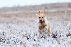 d2e00d009dc597d5e60e0a92d9dff362_245