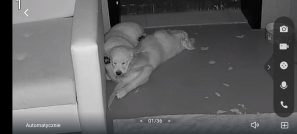 d2f9d17b10b9056325df960357dd8d37_297