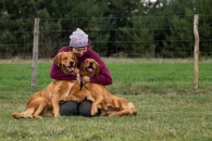 d3315f685ad83ac58f23ee65eef5325d_195