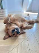 d35b1e0684ec09a00562a5c02e8ed84b_138x184_fill