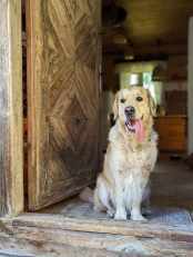 d3f295b63745e069318d819083bdd156_174x231