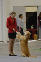 d45fa77c6df86dd1ece4fdbbb6e87103_164x246