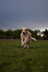 d462cf49c030a39c7f8bfaedfc3d917b_164x246_fill