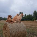 d4b9cb4167a9050074f2cb1c41d93510_160x160_fill