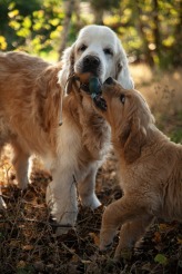 d4d4d750873e0fe34f0121f5c6e2a4ca_164x246