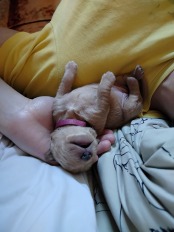 d521f91eec0cba91c60de31dd59b4bef_174x232_fill