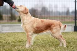 d54bef5e8a56a2df753b18523d265a77_245