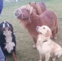 d561e9f8e249cf7758b27b4bbd4df853_201