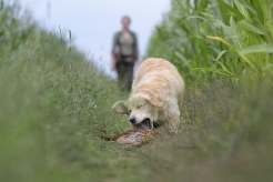 d563104afd1be02ea2c6dc2fd3a53eb8_246