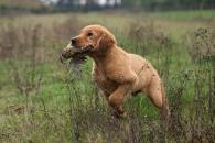 d5cc18281180de8440bbe1c919f9cfcb_195x130_fill