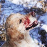 d5eda7cf4f2bce3935901f326be2eb90_200x200_fill