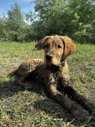 d619c972878fe3d7cddd3cfbf30e8301_138x184_fill