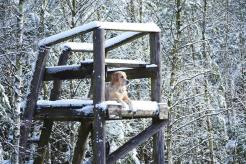 d62b90519aeb97d23fbc6367a393c9f6_246