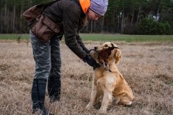 d62bdd5aacb3fb6f5c8665d434800e4a_246x164_fill