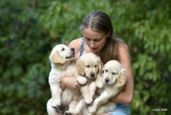 d6aea24ef64cf8bd723478fba54a6363_245