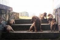 d6bb1fdf8965b3f83fcea1bc6c13874a_195x130_fill