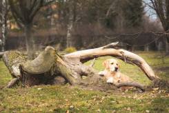 d7269924b807eb667f06c07b57644585_245