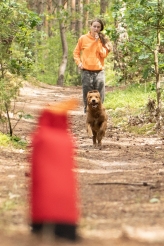 d77388d04811dc8b32ee28ed31596576_164x246_fill