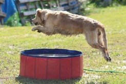 d79f92a60ab97537498f7bb906babfbb_246x164_fill