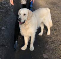 d7af0785b0db4bb4ca3262df94ce18db_204