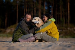 d7c40331f8574ae3844f860057dabfbd_245