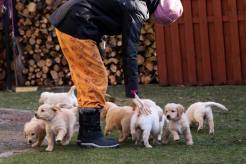 d7d2a959a5e3e270935ba6bbab1c1c51_246