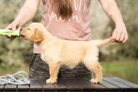 d7dfc91f95e3929f6239b7139a3334fd_195x130_fill