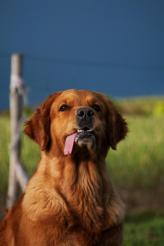 d7ffa169cc2c7fd7577cb08d9cfc8e45_164x246_fill