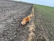 d801d5a10921c7d7d253bc96796caffe_184x138_fill