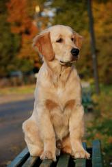 d8083c118cd67c1f3d630445e62fd743_164x244