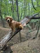 d82938a60b19dd68dffa1f4380389384_138x184_fill