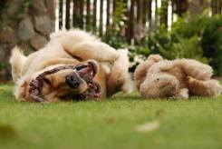 d8696db9d7f69295f7b33db6b3250652_245