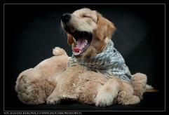 d8727108e8f195dd345b38238dac8f62_241