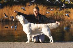 d8e6f17e75d260229624e98414ffd55a_246