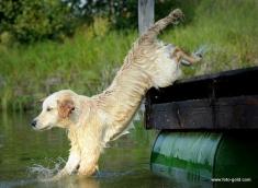 d8ee42273448b57365df33d0e64969db_235