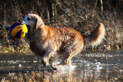 d91a74aa6e1e110f1fbf4372ed9e2474_246